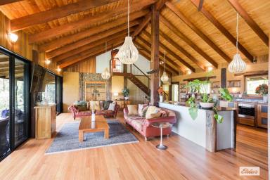 Acreage/Semi-rural For Sale - NSW - Wolumla - 2550 - 'Noojee' - A Unique Retreat in the Heart of Nature  (Image 2)