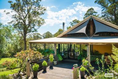 Acreage/Semi-rural For Sale - NSW - Wolumla - 2550 - 'Noojee' – A Unique Retreat in the Heart of Nature  (Image 2)