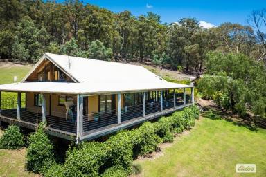 Acreage/Semi-rural For Sale - NSW - Wolumla - 2550 - 'Noojee' – A Unique Retreat in the Heart of Nature  (Image 2)