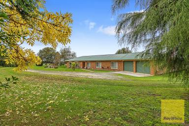 Acreage/Semi-rural For Sale - VIC - Foster - 3960 - Craftsman Built Lifestyle Property  (Image 2)