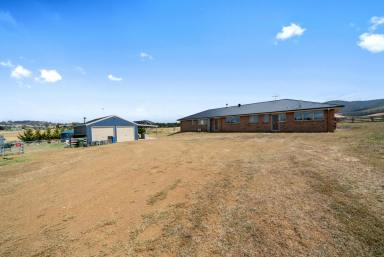 House For Sale - TAS - Orielton - 7172 - EXECUTIVE OFF GRID LIVING  (Image 2)