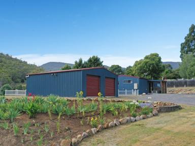 House For Sale - TAS - Molesworth - 7140 - Spacious Family Retreat on 5 Acres!  (Image 2)