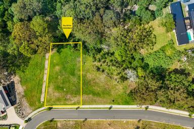 Residential Block For Sale - NSW - Berry - 2535 - The Ridge Estate - Your Perfect Opportunity Awaits!  (Image 2)