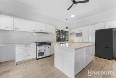 House For Sale - QLD - Howard - 4659 - Spacious Split-Level Family Home with Pool on 2801m²  (Image 2)