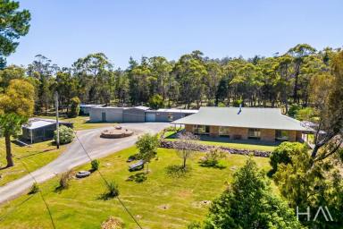 House For Sale - TAS - Murdunna - 7178 - Exceptional peninsula acreage ideal for home, business and leisure, around a 10-minute drive from Dunalley and Eaglehawk Neck in different directions  (Image 2)