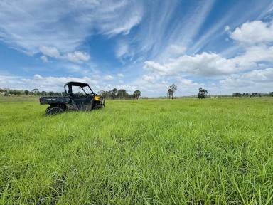 Livestock For Sale - QLD - Windera - 4605 - SECURE GRAZING OPPORTUNITY IN THE SOUTH BURNETT  (Image 2)