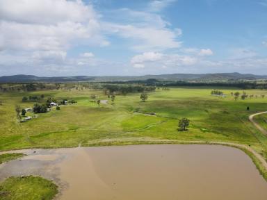 Livestock For Sale - QLD - Windera - 4605 - SECURE GRAZING OPPORTUNITY IN THE SOUTH BURNETT  (Image 2)