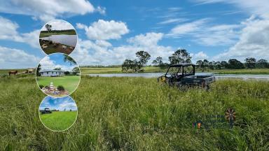 Livestock For Sale - QLD - Windera - 4605 - SECURE GRAZING OPPORTUNITY IN THE SOUTH BURNETT  (Image 2)