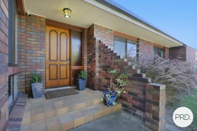 House Sold - NSW - Lavington - 2641 - A WONDERFUL SURPRISE PACKAGE  (Image 2)