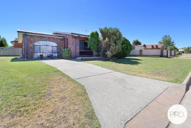 House Sold - NSW - Lavington - 2641 - A WONDERFUL SURPRISE PACKAGE  (Image 2)