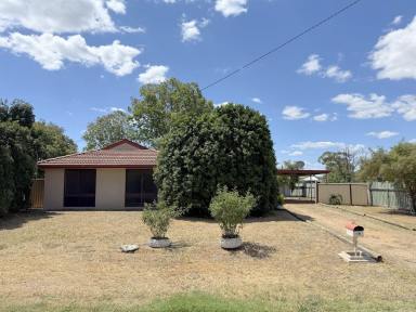 House For Sale - NSW - Moree - 2400 - OPPORTUNITY KNOCKING!  (Image 2)