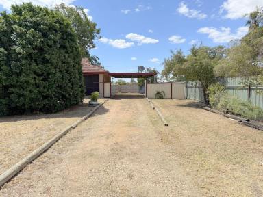 House For Sale - NSW - Moree - 2400 - OPPORTUNITY KNOCKING!  (Image 2)