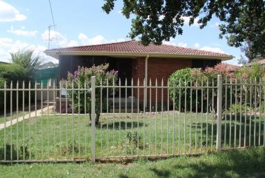 House For Lease - NSW - West Tamworth - 2340 - 3 Cossa Street  (Image 2)