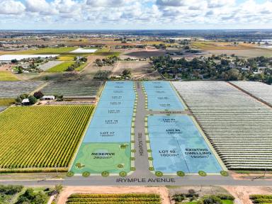 Residential Block For Sale - VIC - Nichols Point - 3501 - Sunraysia's premier location  (Image 2)