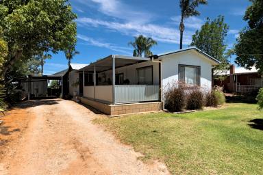 House For Sale - VIC - Red Cliffs - 3496 - Cosy semi-rural home on half acre!  (Image 2)