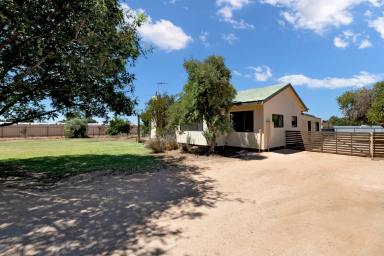 House For Sale - VIC - Merbein - 3505 - Semi Rural Retreat!  (Image 2)