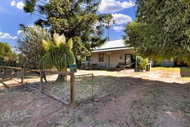 House Sold - VIC - Red Cliffs - 3496 - Affordable buying!  (Image 2)