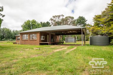 Acreage/Semi-rural For Lease - NSW - Guyra - 2365 - Experience Country Living at Its Finest  (Image 2)