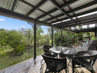 Lifestyle For Sale - NSW - Lovedale - 2325 - Exceptional Opportunity in Lovedale - Hunter Valley Wine Country  (Image 2)