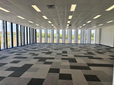 Office(s) For Lease - QLD - Brendale - 4500 - Newly Built Office  (Image 2)