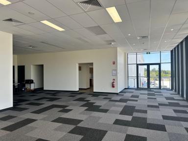 Office(s) For Lease - QLD - Brendale - 4500 - Newly Built Office  (Image 2)