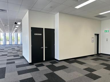 Office(s) For Lease - QLD - Brendale - 4500 - Newly Built Office  (Image 2)