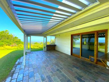 House For Lease - QLD - Doonan - 4562 - Recently renovated family home! Ocean Views!!  (Image 2)