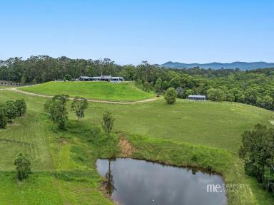 House For Sale - QLD - Armstrong Creek - 4520 - Exceptional Rural Retreat with Dual Dwellings and Breathtaking Views  (Image 2)