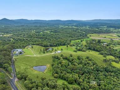 House For Sale - QLD - Armstrong Creek - 4520 - Exceptional Rural Retreat with Dual Dwellings and Breathtaking Views  (Image 2)