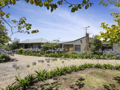 Mixed Farming Auction - NSW - Exeter - 2579 - Exeter - Lifestyle Holding  (Image 2)