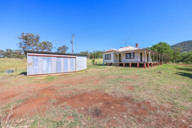 Cropping Auction - NSW - Tamworth - 2340 - PRIVATE RURAL ESCAPE WITH UNTAPPED POTENTIAL  (Image 2)