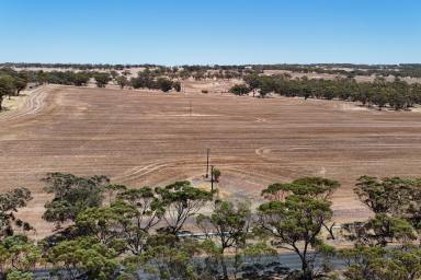 Other (Rural) For Sale - WA - Youndegin - 6407 - Lot 8662 Cunderdin-Quairading Road, Youndegin                   79.6ha (198.3 acres)  (Image 2)