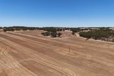 Other (Rural) For Sale - WA - Youndegin - 6407 - Lot 8662 Cunderdin-Quairading Road, Youndegin                   79.6ha (198.3 acres)  (Image 2)