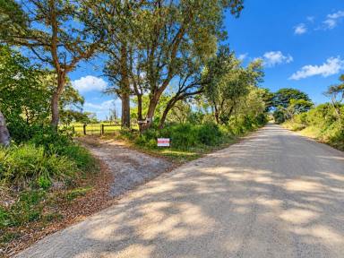 Lifestyle For Sale - VIC - Tarwin Lower - 3956 - Your Slice of Tranquility  (Image 2)