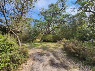 Lifestyle For Sale - VIC - Tarwin Lower - 3956 - Your Slice of Tranquility  (Image 2)