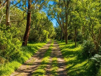 Lifestyle For Sale - VIC - Tarwin Lower - 3956 - Your Slice of Tranquility  (Image 2)
