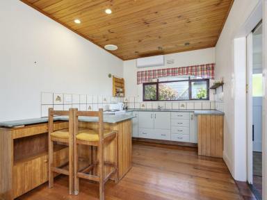 House Leased - TAS - Devonport - 7310 - Charming Home Close to Town  (Image 2)