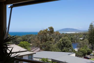 House For Sale - NSW - Gerroa - 2534 - ~ A Home Among the Gum Trees ~  (Image 2)