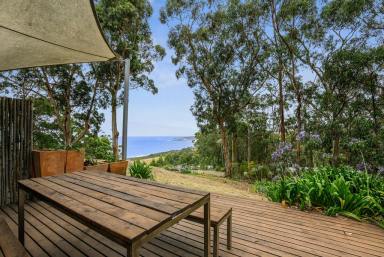 Unit For Sale - VIC - Skenes Creek - 3233 - A place to get away  (Image 2)