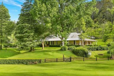 Acreage/Semi-rural For Sale - NSW - Yarramalong - 2259 - 'Cloud Valley Farm' - An iconic jewel of the Australian landscape  (Image 2)