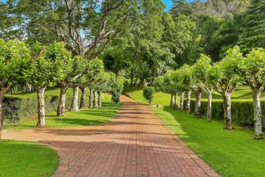 Acreage/Semi-rural For Sale - NSW - Yarramalong - 2259 - 'Cloud Valley Farm' - An iconic jewel of the Australian landscape  (Image 2)