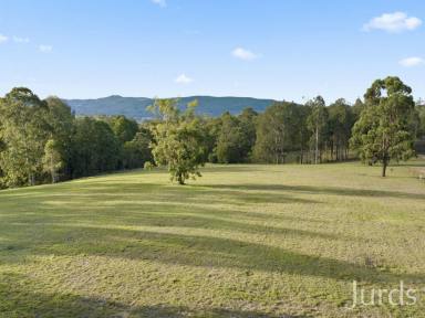 Lifestyle Auction - NSW - Millfield - 2325 - Corrabare  (Image 2)