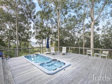 Lifestyle Auction - NSW - Millfield - 2325 - Corrabare  (Image 2)