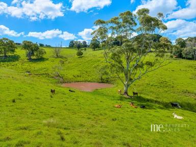 House For Sale - QLD - Mount Mee - 4521 - Charming Rural Retreat  (Image 2)