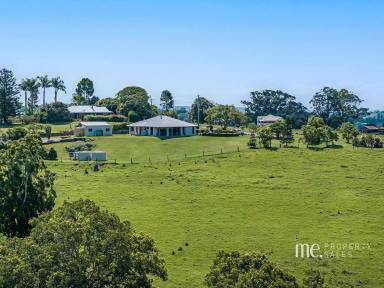 House For Sale - QLD - Mount Mee - 4521 - Charming Rural Retreat  (Image 2)