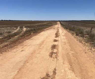 Mixed Farming For Sale - SA - Parilla - 5303 - Prime Cropping, Irrigation and Horticulture  (Image 2)