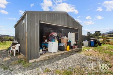 Residential Block For Sale - TAS - Fingal - 7214 - Fingal Land Opportunity  (Image 2)