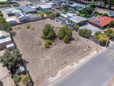 Residential Block For Sale - SA - Yorketown - 5576 - **All Reasonable Offers Presented on Openn Offers ** For Sale: Residential Land in Yorketown - 17 Honner Avenue**  (Image 2)