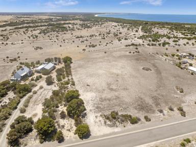 Residential Block For Sale - SA - Marion Bay - 5575 - **For Sale: Prime Residential Land in Marion Bay - 28 Peregrine Drive**  (Image 2)