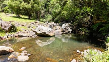 Mixed Farming For Sale - QLD - Natural Bridge - 4211 - Consolidated Water | Gold Coast Hinterland  (Image 2)